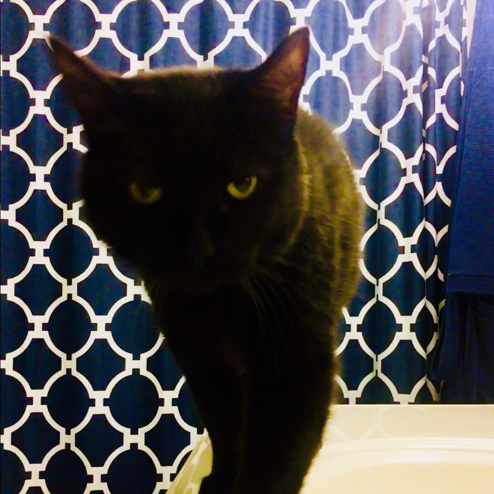 Meet your Posher, Cally